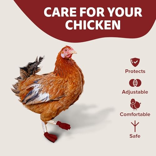 Chicken Shoes for Injured Feet – Protective Neoprene Footwear for Chicken, Open-Toe Design for Bumblefoot Relief, Made in USA (Chicken Shoes, Red, Medium Chickens) - color: Red
