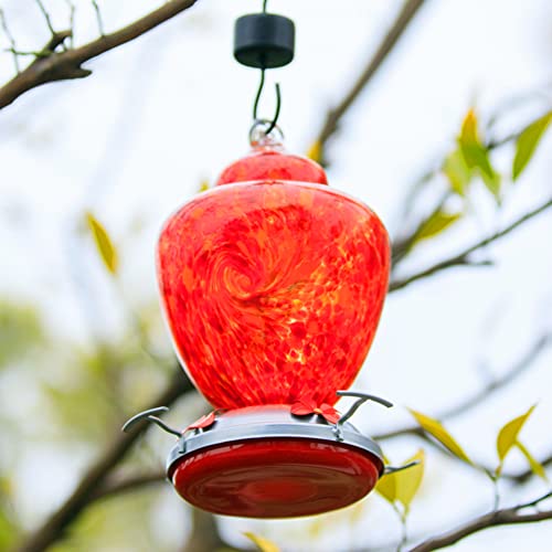REZIPO Hummingbird Feeder with Perch - Hand Blown Glass - Red - 38 Fluid Ounces Hummingbird Nectar Capacity Include Hanging Wires and Moat Hook - color: Red