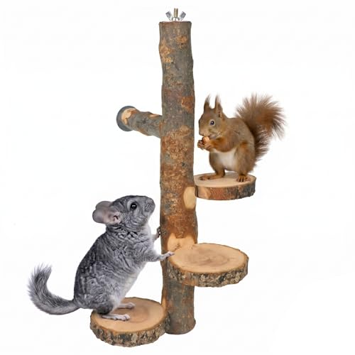 YKD Chinchilla Large Hanging Wooden Rotating Platform - Small Animals Natural Fruit Wood Standing Platform - Squirrel Suger Glider Platform - Bird Perch Platform