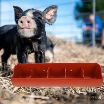DOITOOL Plastic Fence Feeder Heavy Duty Pig Trough 5 Compartment Livestock Feeder Plastic Pig Feeers Livestock Pets Animal Feeders Farm Supplies
