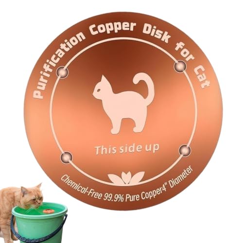 Copper Waterer Cleaning Disc, All Season Livestock Water Purifier Tray Keeps Water Clean for Poultry, Dogs & Cattle - size: cat