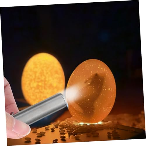 Gatuida Led Candler for Monitoring Fertilized Eggs Lightweight and Bright Incubator Light for Hatching Success