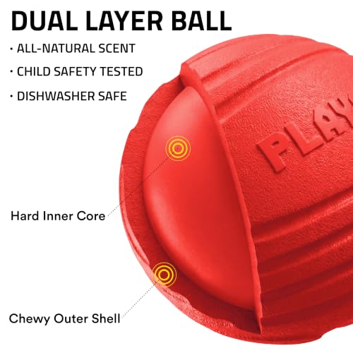 Playology Dog Toys | Dual Layer Ball Durable Chew Toy for Tough Chewers | Beef Scented Jumbo Dog Ball | Chew Toys for Large Dogs - size: Jumbo, style: Beef