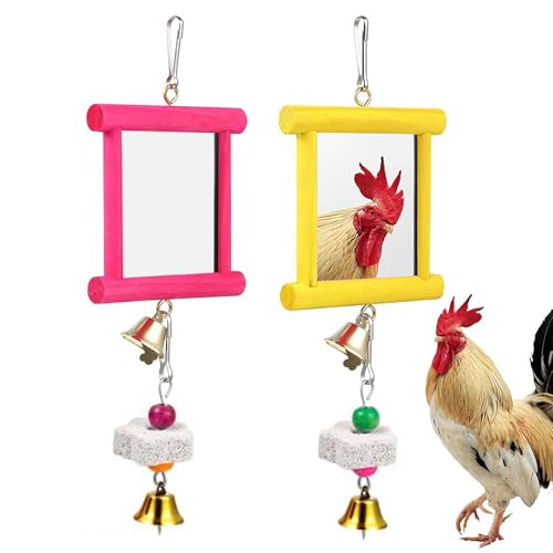 Chicken Toy Mirror | Chicken Mirror Beak Grinding Molar Stone,Safe Multi Functional Roosters Hens Entertainment for Garden Farm Outdoor Space