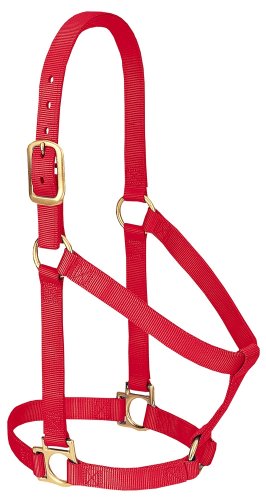Weaver Leather Basic Non-Adjustable Nylon Horse Halter - color: Red, size: 1" Small Horse