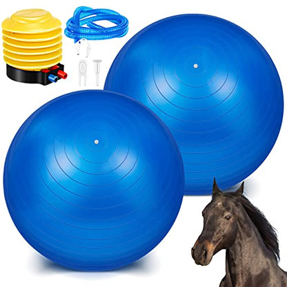 Sotiff 2 Pcs 40 Inch Horse Ball for Play Large Horse Big Equine Herding Anti Burst Dog Ball Soccer Giant, Pump Included(40 Inch,Blue) - color: Blue