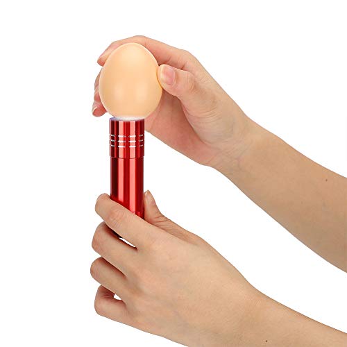 CHICIRIS Egg Candling Lamp, High Intensity Bright Cold Light for Egg Development Observation, with Portable ABS Design, for Chicken Goose Duck Poultry Hatching and School Lab (Red) - color: Red