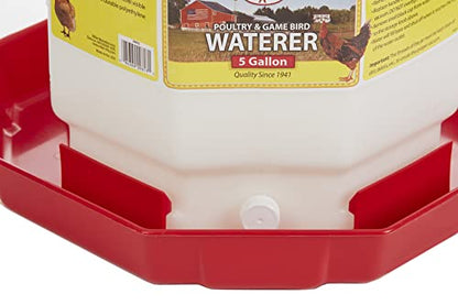 Little Giant® Plastic Poultry Waterer | Heavy Duty Plastic Gravity Fed Water Container | Easy to Fill | Snap on Jar | 5 Gallons