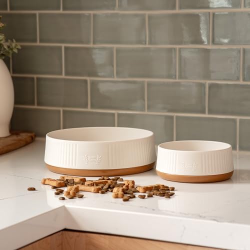 Harry Barker Large Modern Dog Bowls, 2-Pack Eco-Friendly Plastic Pet Food & Water Bowls, Non-Slip Base, Dishwasher Safe, BPA-Free, Neutral Design, Holds 9 Cups Each - color: Large Bowls