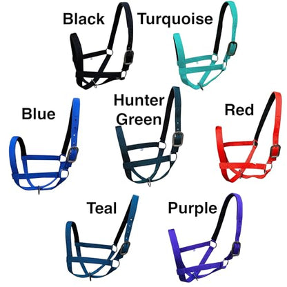 Majestic Ally Adjustable Nylon Cattle Halter with Padded Crown and Nose - 6-Month Warranty - color: Black