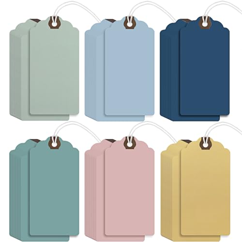 Outus 60 Pcs 4 3/4-in x 2 3/8-in Blank Large Paper Gift Tags with String and Reinforced Eyelet Wire Writable Price Tags Shipping Labels Inventory Labels(Pastel Color) - color: Pastel Color