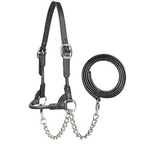 Derby Originals New and Improved Premium Round Rolled Leather Cattle Show Halter with Matching Chain Lead - color: Black, size: Small (350-700lbs)