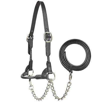 Derby Originals New and Improved Premium Round Rolled Leather Cattle Show Halter with Matching Chain Lead - color: Black, size: Small (350-700lbs)