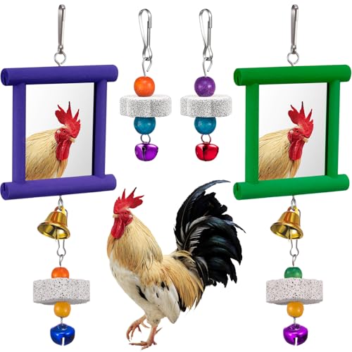 Sumind 2 Pieces Chicken Mirror Toys Hanging Swing Mirror with Bell Wooden Pecking Toy and 4 Pieces Beak Grinding Molar Stones for Hens Birds Parrots(Green,Purple) - color: Green,Purple