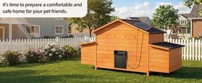 Solar Automatic Outdoor Chicken Coop with Weatherproof Design, 2 Nesting Boxes, Ventilated, Pull-Out Tray