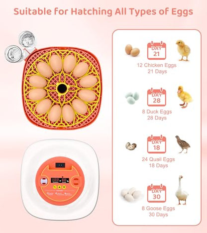12 Egg Incubator for Hatching Eggs, Smart Temperature and Humidity Control, Automatic Egg Turning, Incubator for Hatching Chicken, Quail, Duck Eggs, 360° Clear View for Home, Classroom, Farm