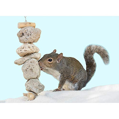 Exotic Nutrition Pumice Chew Dangle - Natural Healthy Hanging Cage Accessory Toy - for Squirrels, Degus, Chinchillas, Prairie Dogs, Birds, Rats, Hamsters, Guinea Pigs & Other Small Pets
