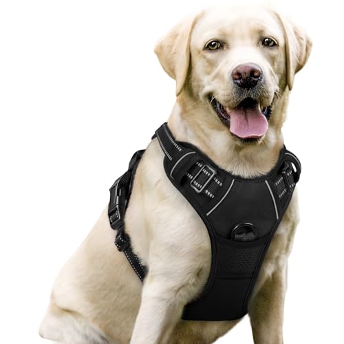 rabbitgoo Dog Harness No Pull with 2 Leash Clips, Adjustable Soft Padded, Reflective Oxford No Choke Pet Vest with Easy Control Handle for Large Dogs, Black, L - color: Black, size: Large