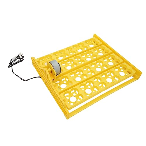 Egg Incubator Tray, Multifunction Automatic Egg Turner Incubator Tray Eggs Automatic Egg Turner Turning Tray for 16 Duck Eggs 16 Eggs 72 Quail Eggs Incubation (DC12V) - size: DC12V