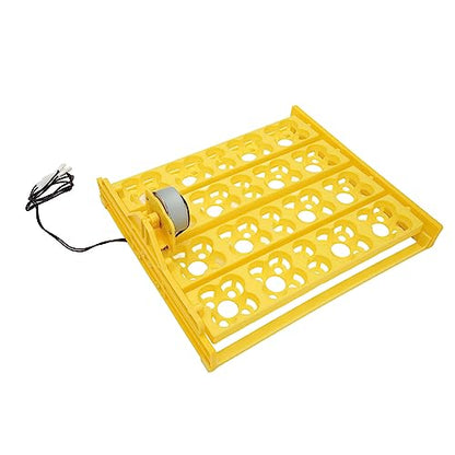 Egg Incubator Tray, Multifunction Automatic Egg Turner Incubator Tray Eggs Automatic Egg Turner Turning Tray for 16 Duck Eggs 16 Eggs 72 Quail Eggs Incubation (DC12V) - size: DC12V