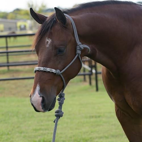 Professional's Choice Beaded Rope Halter | Intricate Beadwork on the Noseband | 7 Foot Matching Lead - color: Charocoal