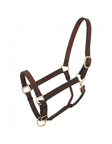Tough 1 Leather Adj Stable Halter w/Snap Large Hors - size: Large Horse