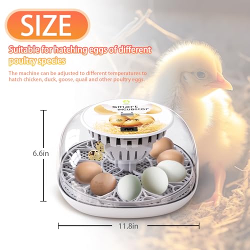 Incubators for Hatching Eggs Incubator with Automatic Egg Turning and Humidity Control, 360° Clear View, Poultry Incubator for Hatching Chicken, Duck, Quail, Pigeon, Goose Eggs (White)