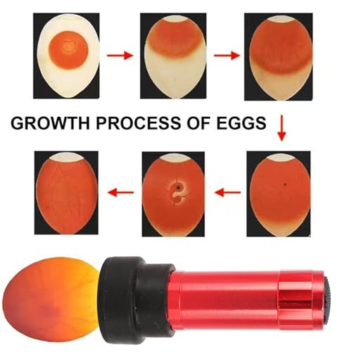 3pcs LED Egg Candler Tester with Bright Cool Soft Lighting, Monitor Eggs Development, No Heat Damage, for Chicken Eggs