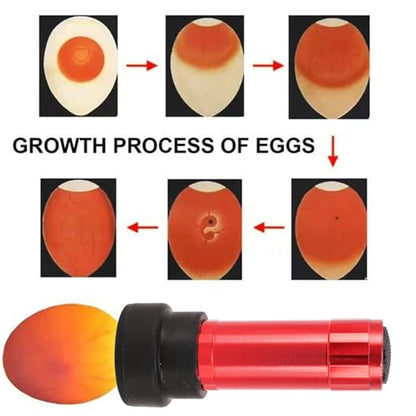 3pcs LED Egg Candler Tester with Bright Cool Soft Lighting, Monitor Eggs Development, No Heat Damage, for Chicken Eggs