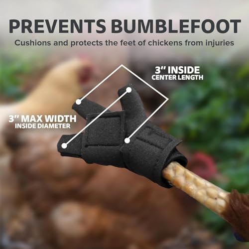 Chicken Shoes for Injured Feet – Protective Neoprene Footwear for Chicken, Open-Toe Design for Bumblefoot Relief, Made in USA (Chicken Shoes, Gray, Medium Chickens) - color: Gray