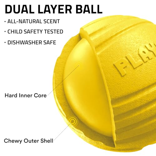Playology Dog Toys | Dual Layer Ball Durable Chew Toy for Tough Chewers | Chicken Scented Medium Dog Toy | Chew Toys for Dogs - size: Medium, style: Chicken