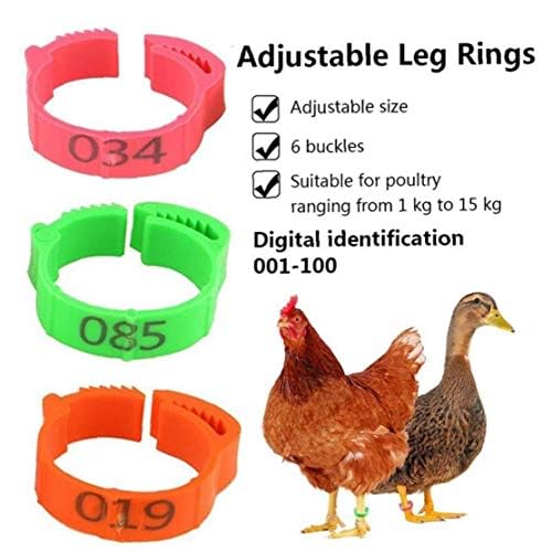 Aisoway 100 Pcs Poultry Identification Leg Rings Adjustable Clip-on Digital Label Buckle Bands Random Color for Chicken 100PC yellow - size: yellow