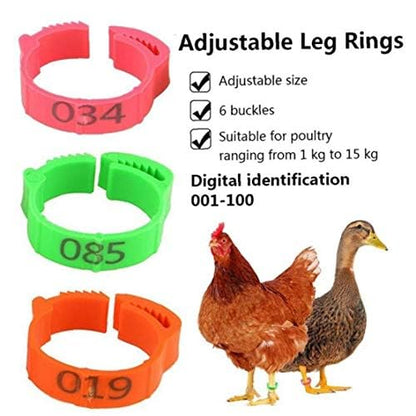 Aisoway 100 Pcs Poultry Identification Leg Rings Adjustable Clip-on Digital Label Buckle Bands Random Color for Chicken 100PC yellow - size: yellow