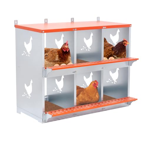 Heavy-Duty Wall-Mounted Metal Nesting Box for Backyard Chickens and Ducks with Ventilation and Easy Egg Access (6-Orange)