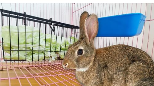 Hay Feeder for Rabbit Guinea Pig Chinchilla Small Animal Bunny Hanging Feeder for Cage Heavy Duty Metal Rack Timothy Veggie Holder (hay feeder*1 + food water cage cup *4 + Pet Teeth Grinding Stone*1) - size: 1* hay feeder + 4 * hanging cage bowls