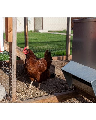 vensovo Galvanized Chicken Feeder - 25Lbs Outdoor Waterproof Metal Feeder with Lid, Coop Food Dispenser No Waste for Chicken, Haning or Stand
