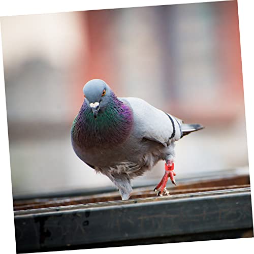 100pcs Bright Colors Meat Pigeon Anklet Pigeon Foot Rings Poultry Leg Bands Identification Ring for Birds Chicken Supplies