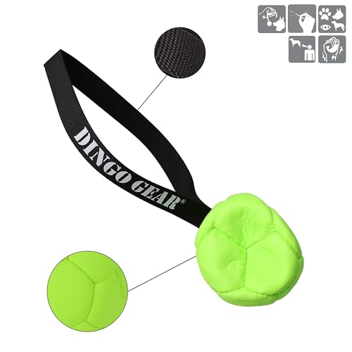 Dingo Gear Dog Ball and Pump Set, Faux Leather, Green 5in - color: Green Ball+Pump, size: 5"