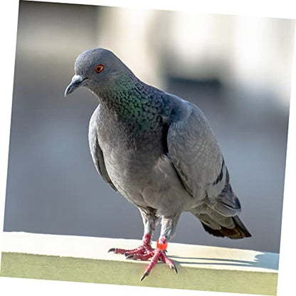 Homoyoyo 100pcs Identification for Pigeons Poultry Plastic Leg Bands for Birds Easy to Use Foot Clips for Marking Differentiating Breeds Mixed Colors