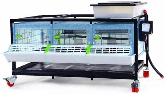 Hatching Time 9.5" Chick Brooders – Stackable with Automatic Heating, Modular Design, Easy to Clean, Ideal for Quail, Pheasant, and Baby Chicks (1 Layer) - style: 3 Section, 1 Layer