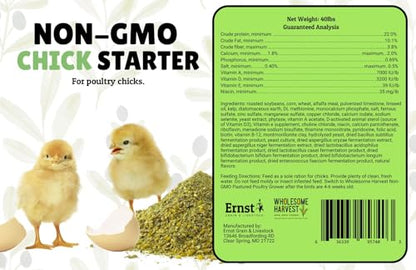 Chick Starter Feed - Non-GMO Chick Food Starter with Omega 3 and Natural, Herbal Ingredients - Chicken Feed for Growing Healthy Chicks with High-Protein 22% and Probiotics - 40 Lb - size: 40 Pound (Pack of 1)