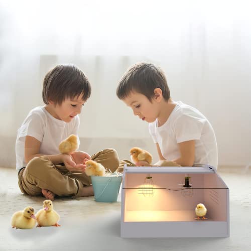 Brooder Box for Chicks ，Chick Brooder Heat up to 35 Chicks with Heat Lamp Set Brooder Box，Suitable for Chicks/Duck/Parrot/Lizard （31" X 16" X 16"） - size: 31" X 16" X 16"