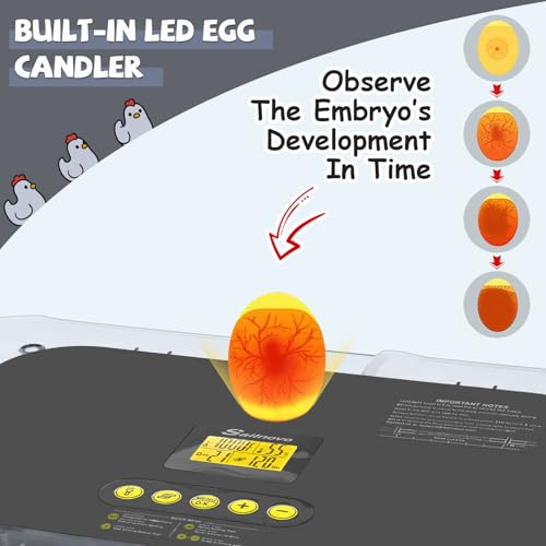 Sailnovo Incubators for Hatching Eggs 70 Egg Incubator with Auto Egg Turning & Auto Humidification, Temperature Control, Incubator for Chicken Duck Quail Eggs, Perfect for Lab School Farm, Gray&Yellow