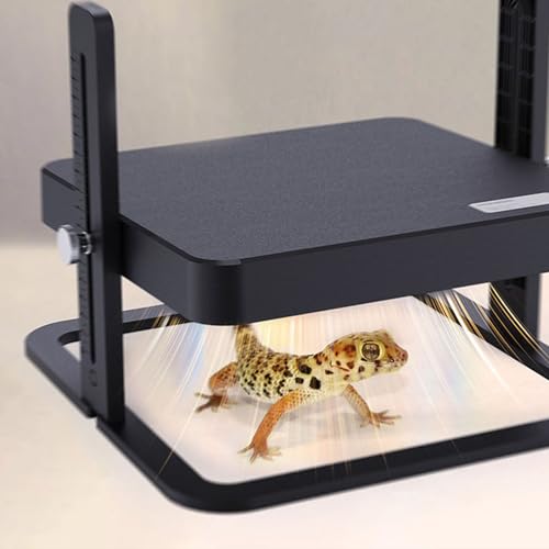 Chick Heating Plate Brooder Heater with Temperature Control – Safe, Energy-Efficient, Flat- Brooding Plate for Chicks, Ducklings & Poults – Compatible with Chicken Coops & Barns