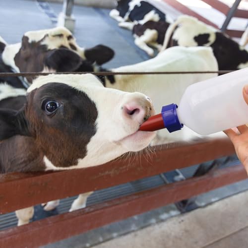 2PCS Calf Feeder Milk Bottle Livestock Drinking Bottles Calves Nursing Milk Feeding Bottle for Farm Livestock Supplie (1000ml) - size: 1000ml