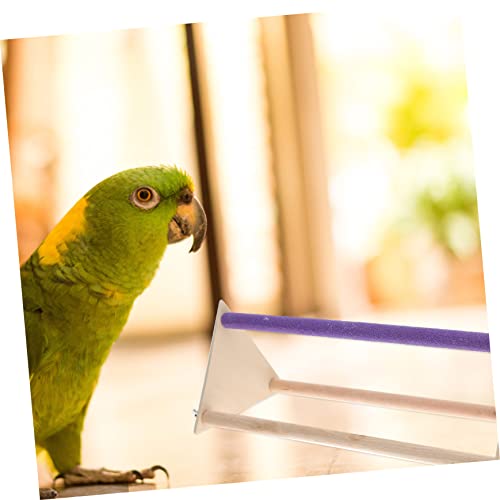 balacoo 1set Xylophone Chicken Perch Roosting Bar and Swing Accessories for Parrots Cockatiels and Birds Encourages Play and Physical Activity Coop