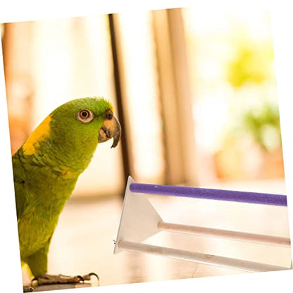balacoo 1set Xylophone Chicken Perch Roosting Bar and Swing Accessories for Parrots Cockatiels and Birds Encourages Play and Physical Activity Coop