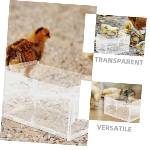 3pcs Chicken Feeder Automatic Poultry Feeding Container for Chickens and Quails Easy to Clean Promotes Feeding Schedule for Backyard Farmers