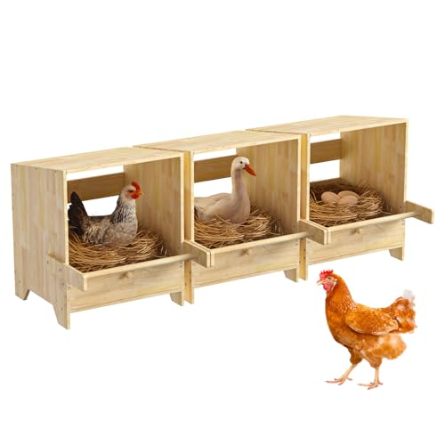 Chicken Laying Boxes 3 Hole Wood Egg Laying Box for Hens Wall Mounted Nesting Boxes for Chickens, Hens, Ducks, Poultry
