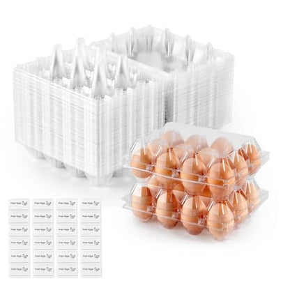 60PCS Plastic Egg Carton Reusable Egg Cartons Cheap Bulk for Fresh Large Eggs, 1 Dozen Blank Egg Tray Clear Egg Container Holder for Refrigerator Home Ranch Chicken Farm Commercial Market Display - size: 60Pack-3x4 Grids